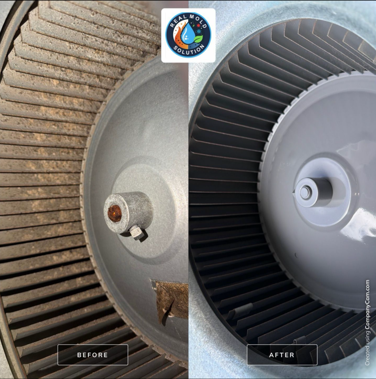 Kitchen mold case — cabinets · AC blower section cleaned · referenced from Winter Park, FL service area · before/after lab cleared