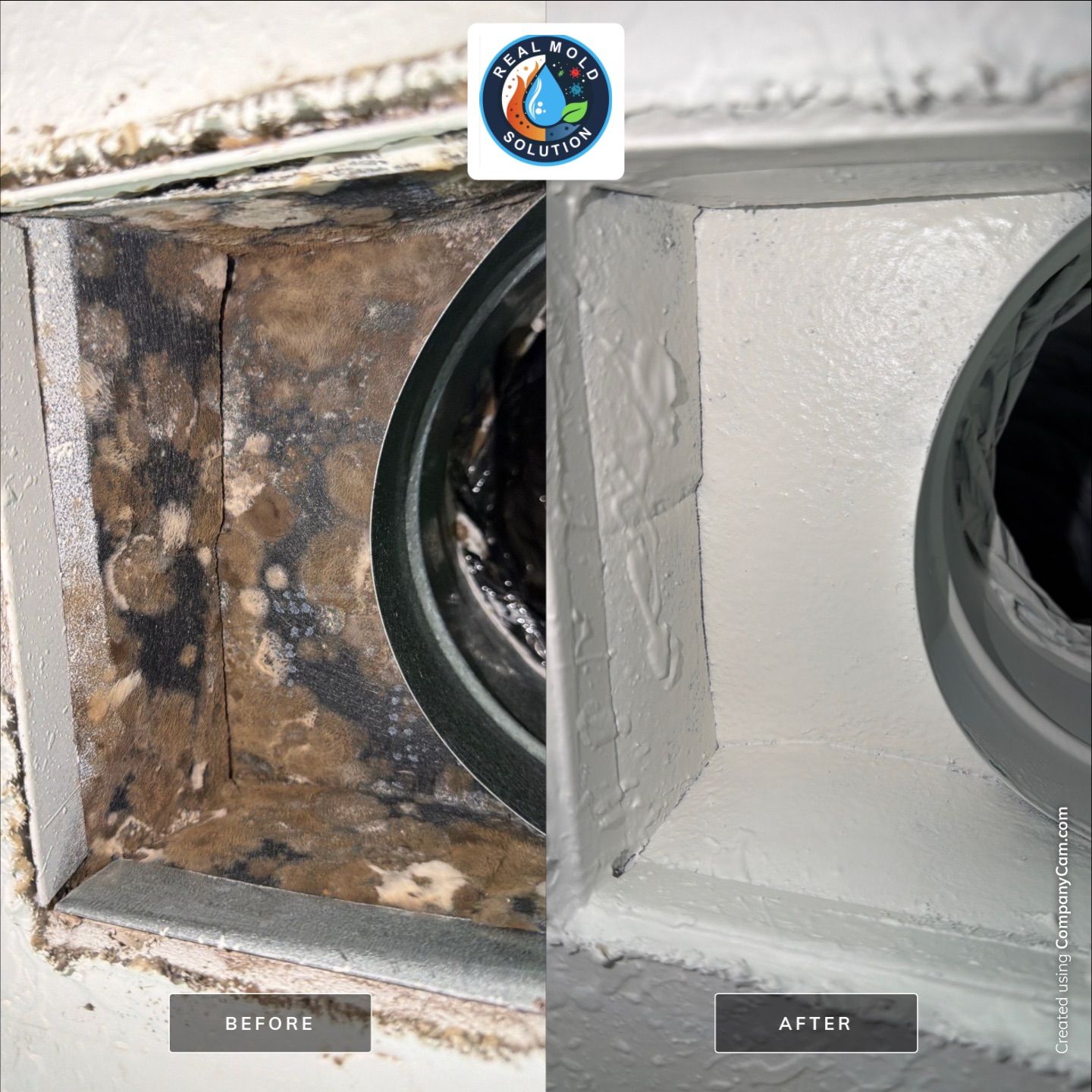 Commercial HVAC mold case — duct register cleaning · referenced from Winter Park, FL service area · before/after lab cleared