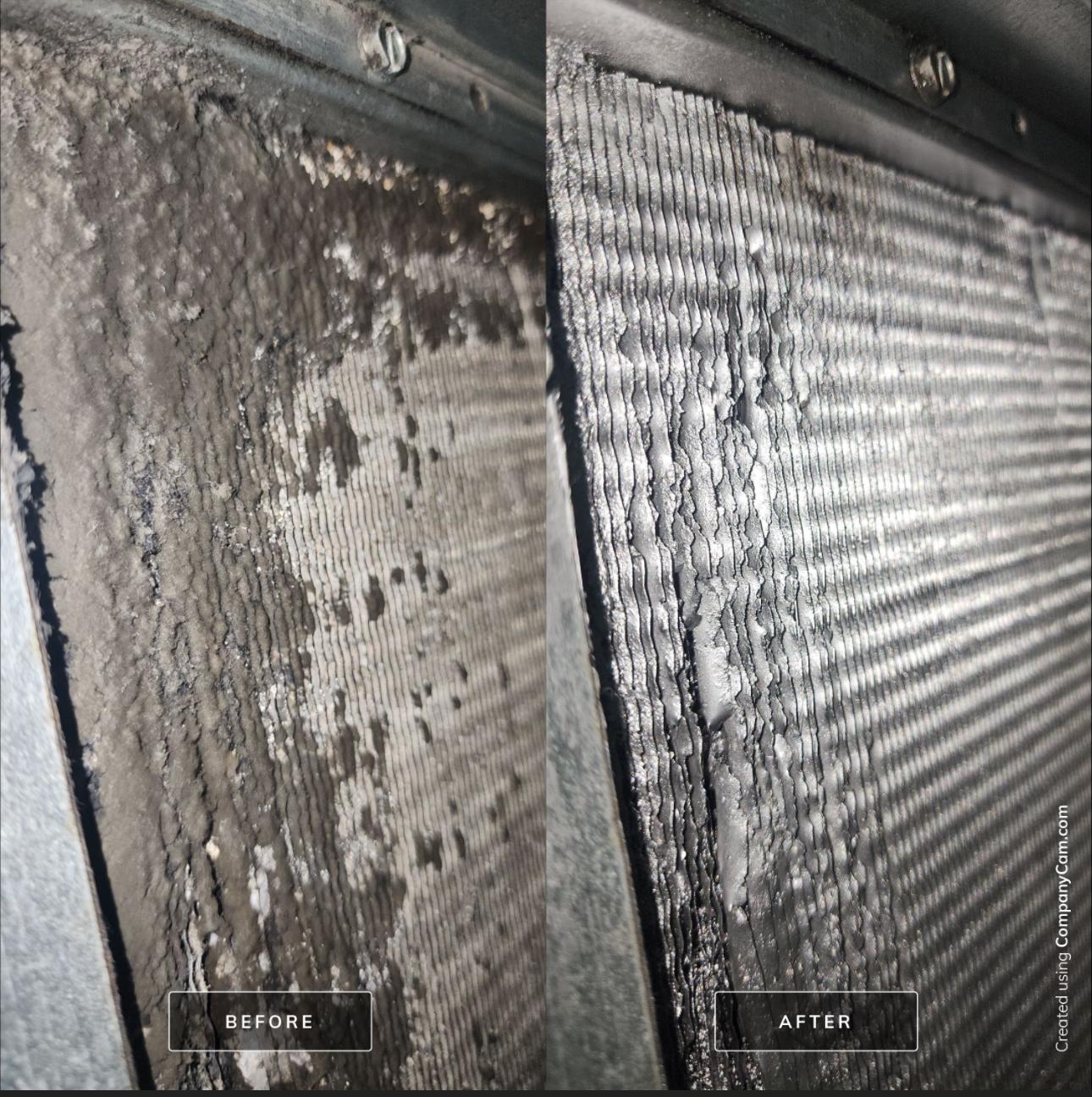 Bathroom mold remediation case — AC evaporator coil cleaned · referenced from Winter Park, FL service area · before/after lab cleared