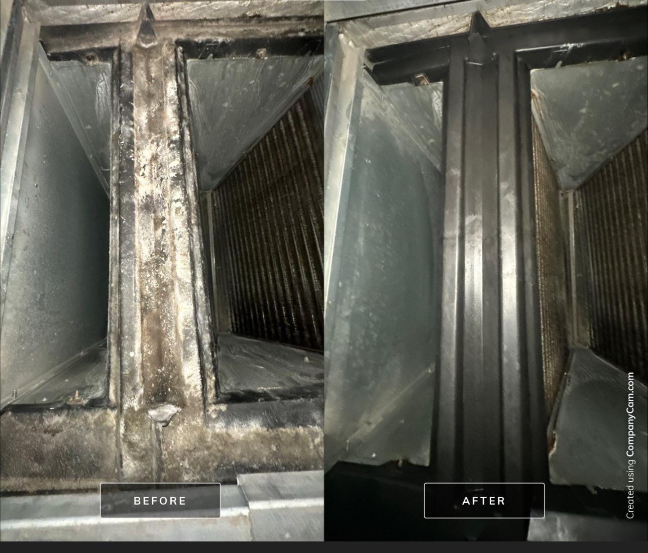 A/C internal cabinet inspection identifying mold inside an air handler.