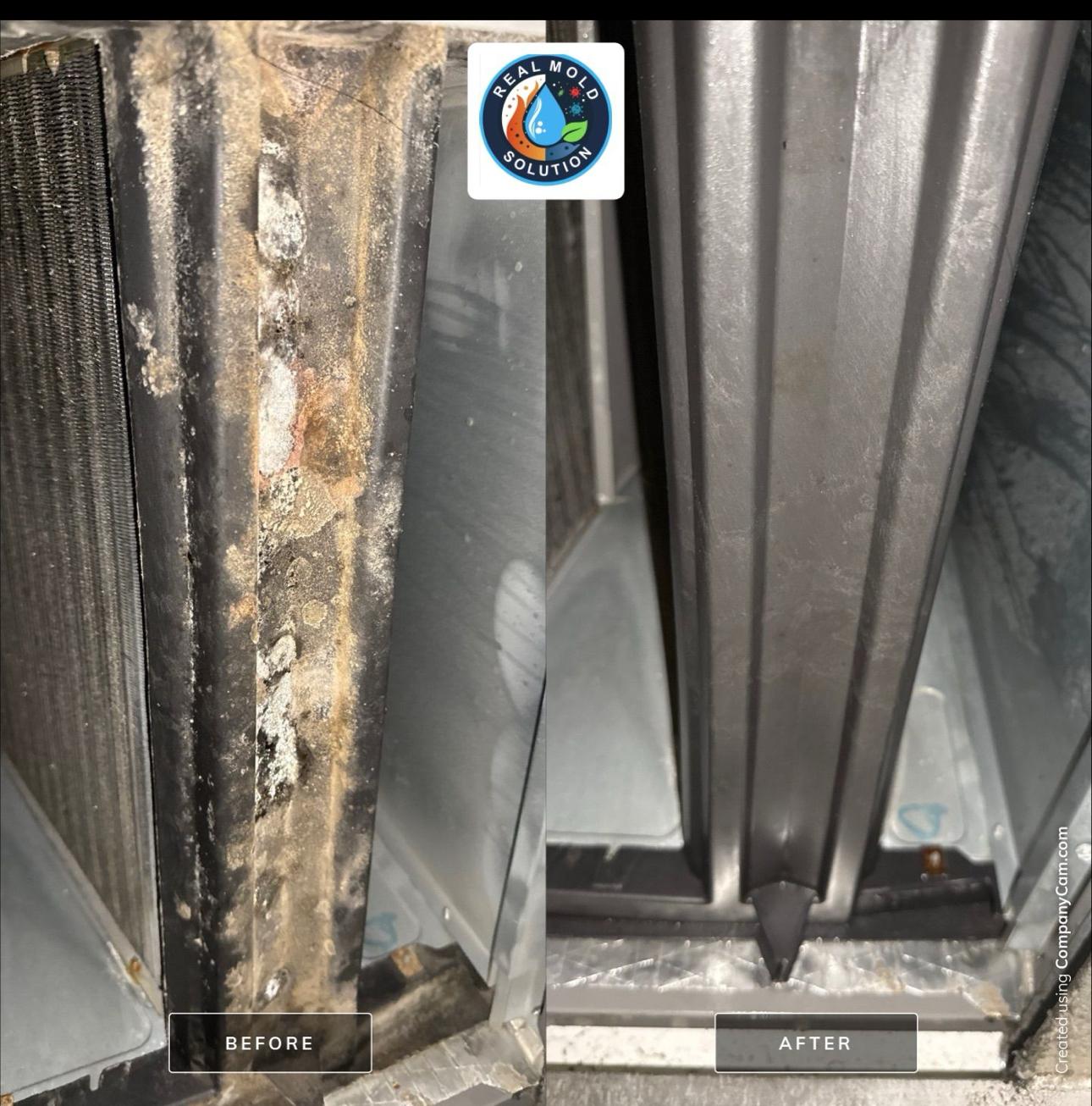 HVAC air handler panel disinfected before and after antimicrobial treatment.