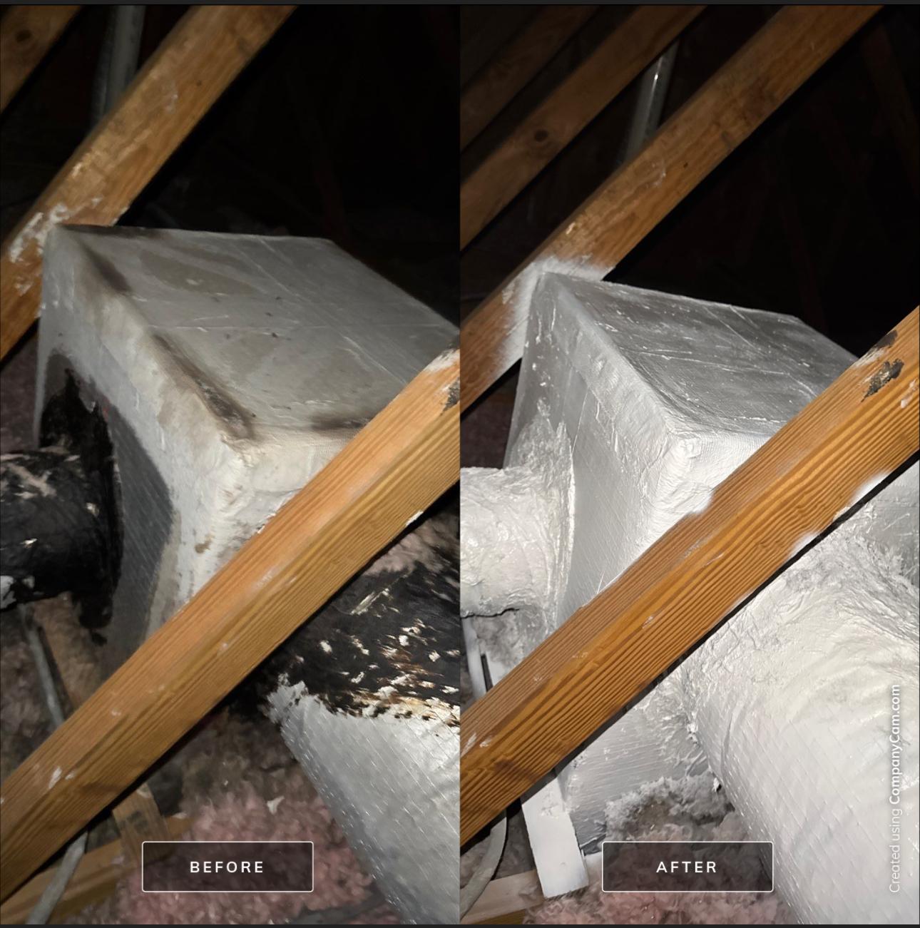 Attic ventilation box inspected for moisture intrusion and mold.