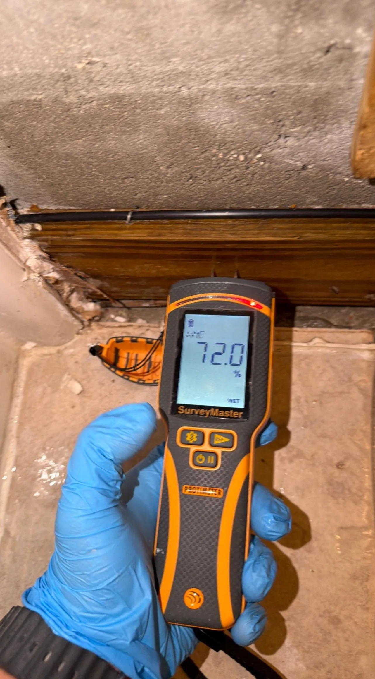 Moisture meter mold inspection