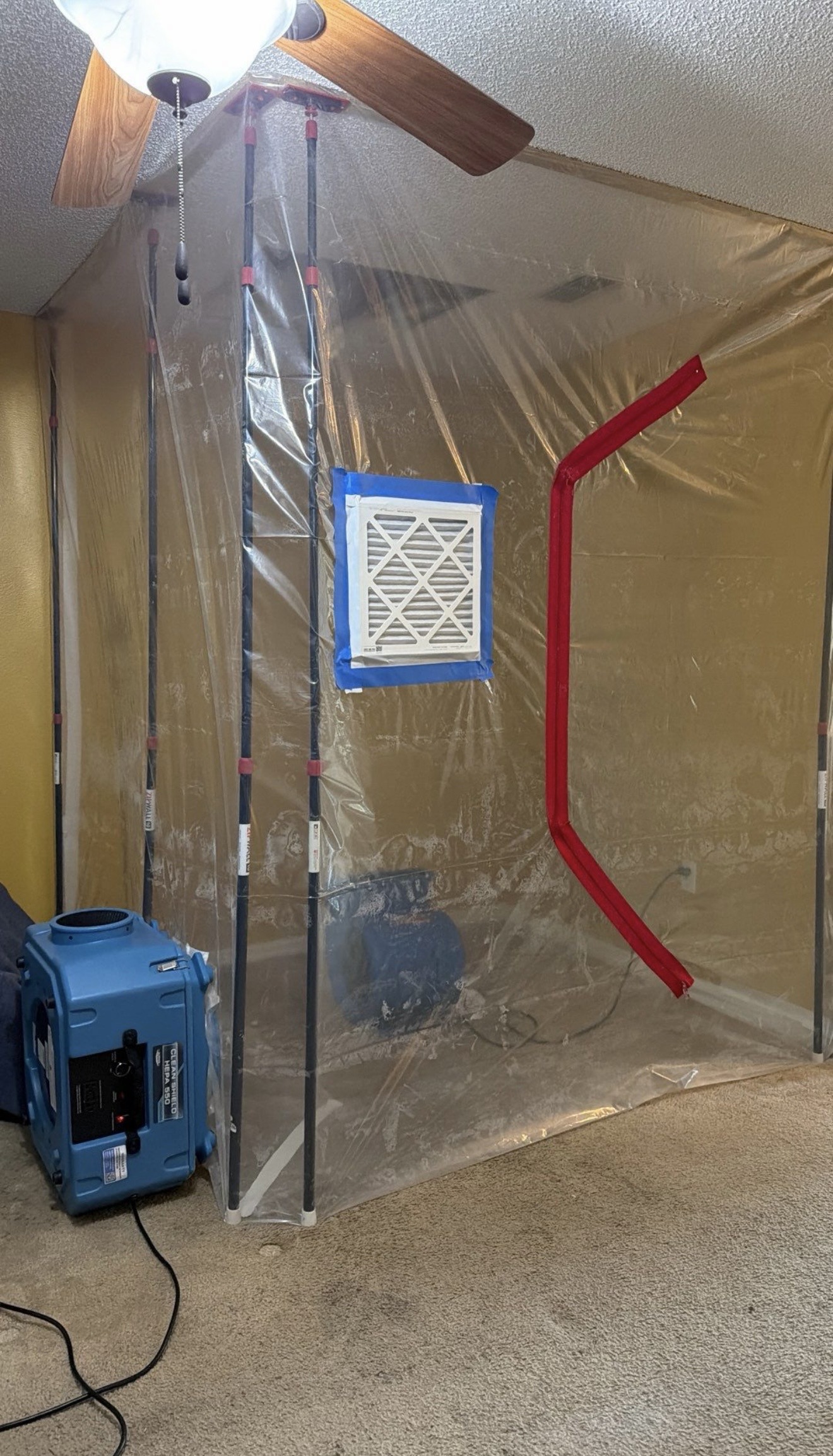 Professional containment barrier installed during structural mold inspection.